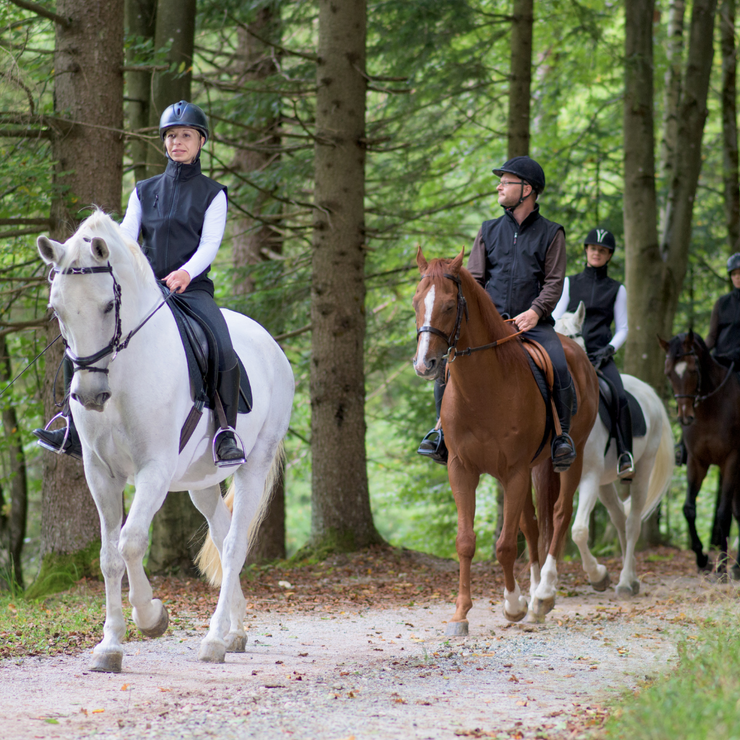 Top 10 Bridle Paths In The UK Just Horse Riders