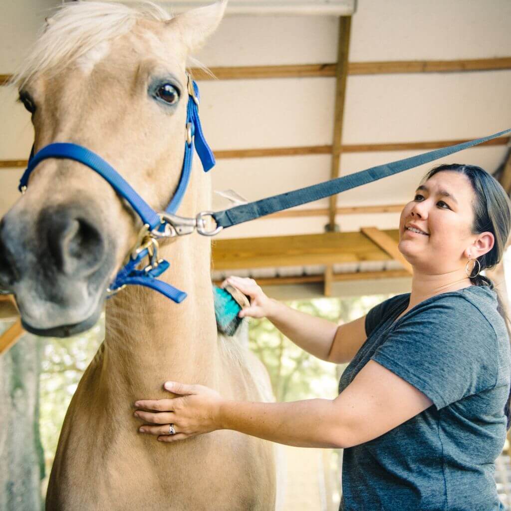 Master Horse Grooming with Tips & Top Picks: Why the Long Face?