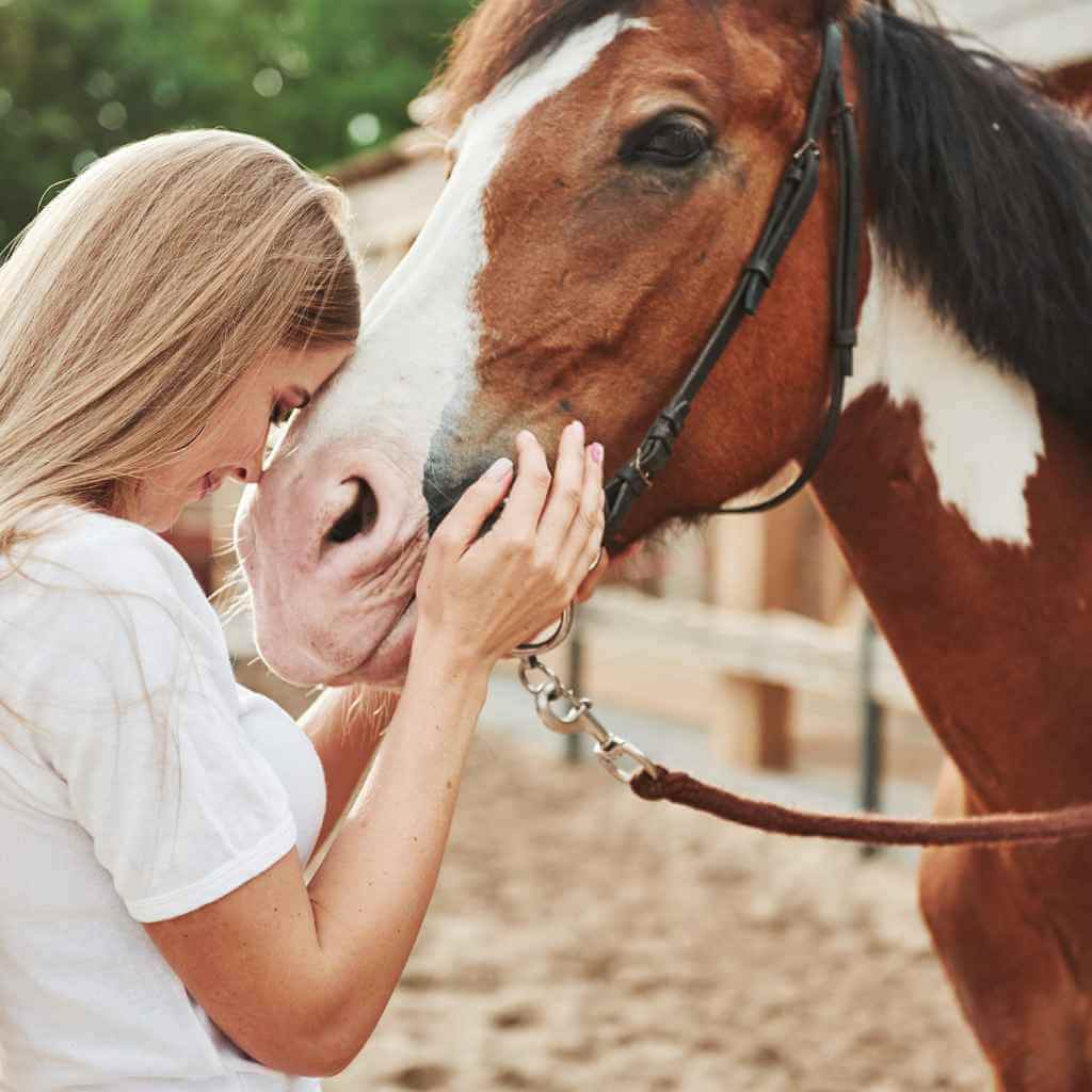 Why Horses Nudge? Boost Your Equine Bond! Shop Now at Just Horse Riders.