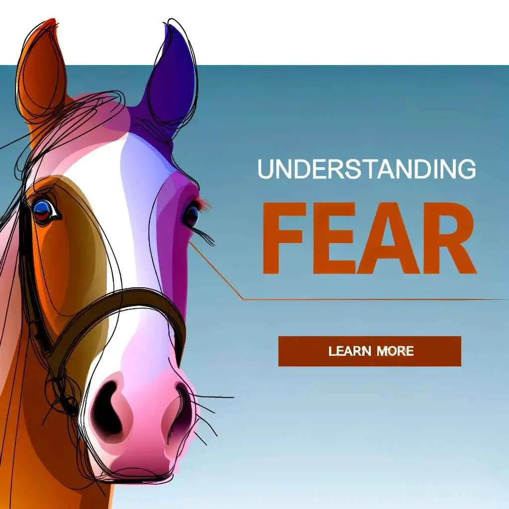 How Horses Show Fear: Understanding Equine Anxiety Signals - just horse riders