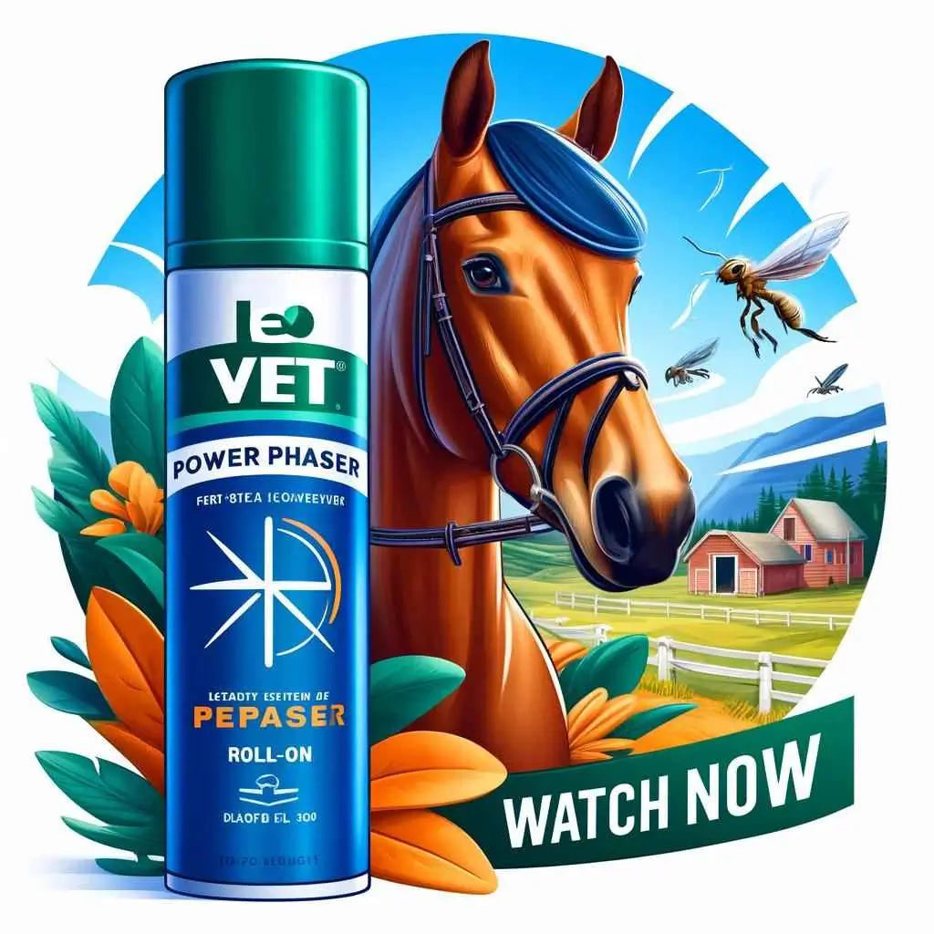 How to Keep Flies Away on Senitive Areas with Leovet Power Phaser Roll-On - just horse riders