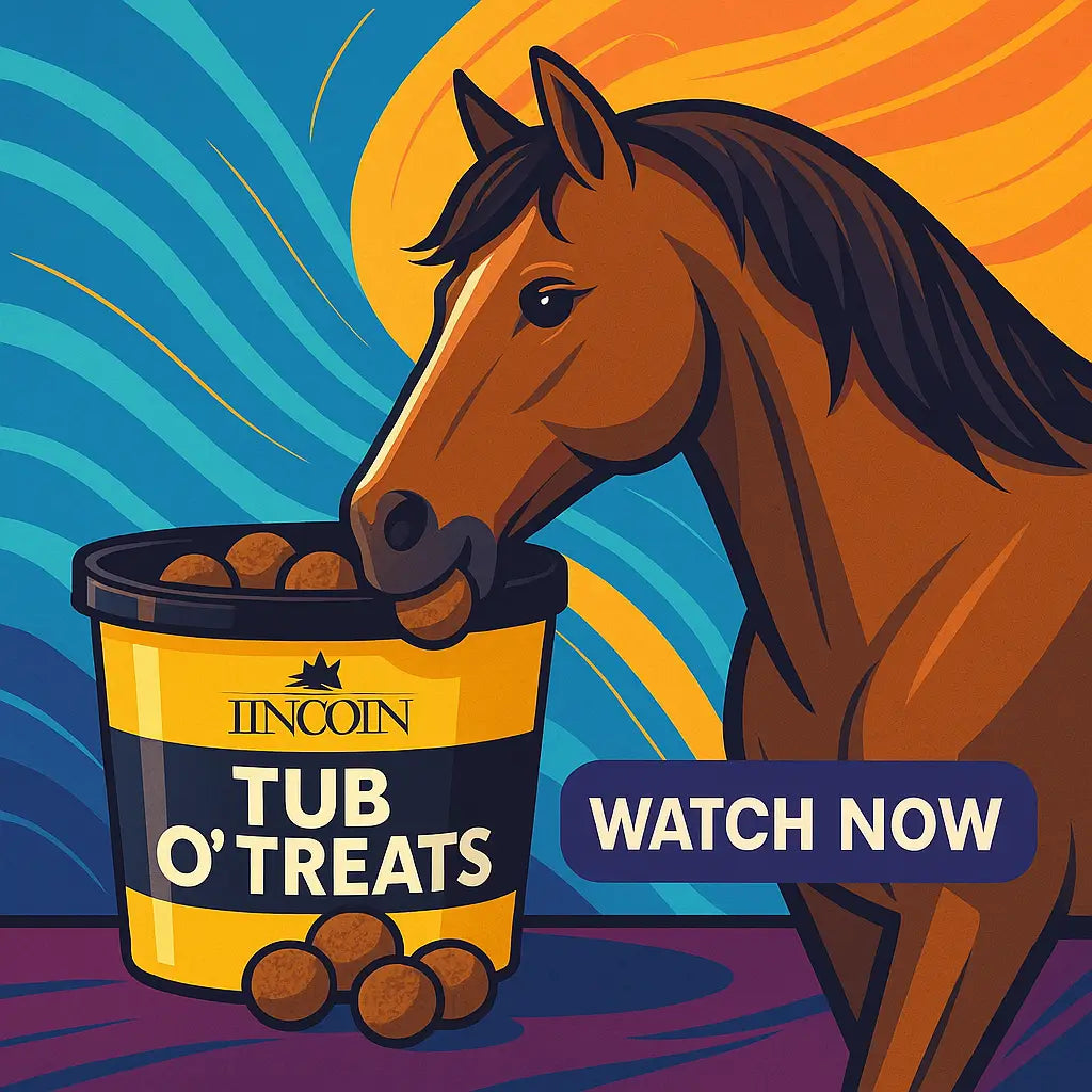 Why Lincoln Tub O’ Treats Might Just Be Your Horse’s New Favourite Snack – Full Product Review