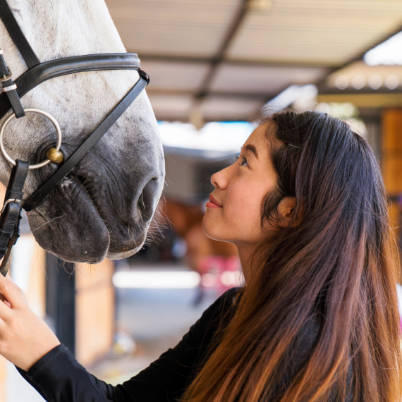 Horses and Your Mental Health