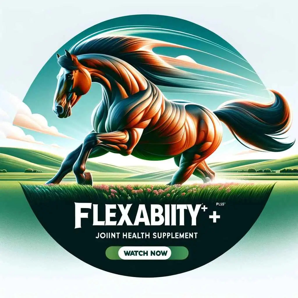 How Science Supplements Flexability+ Plus Can Transform Your Horse's Mobility - just horse riders