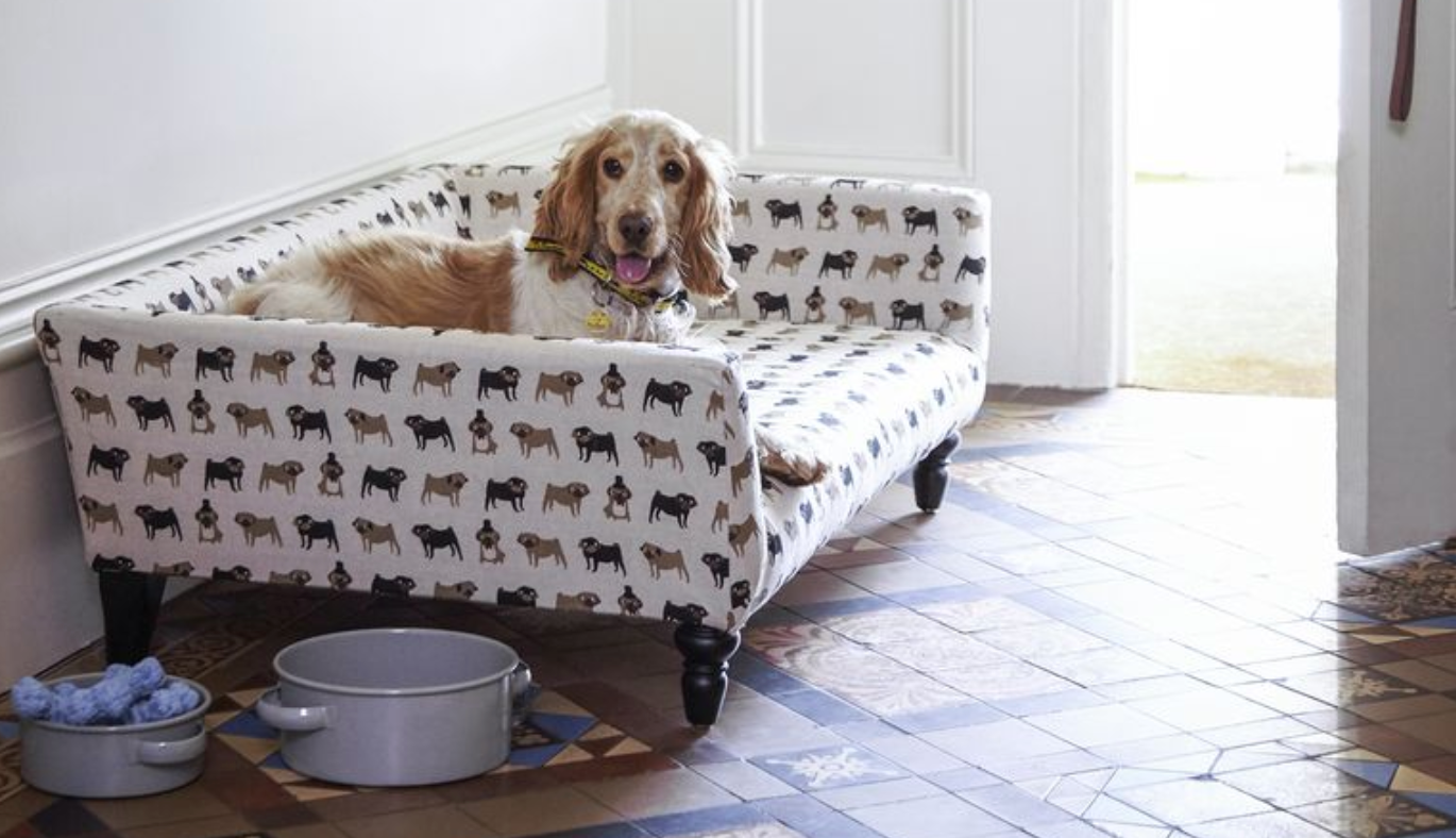 Winter Games For You & Your Dog