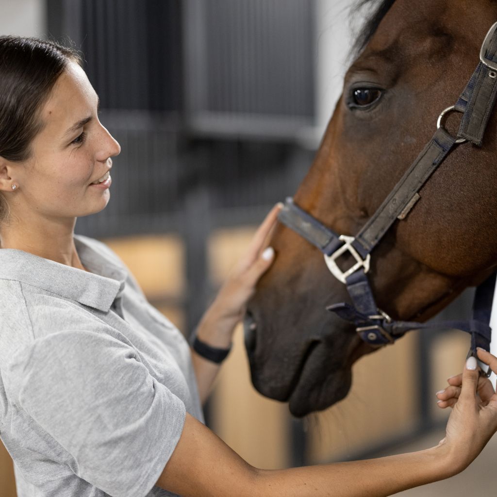 The Equestrian's Guide to Horse Gastric Ulcers: Signs, Diagnosis, and Treatment