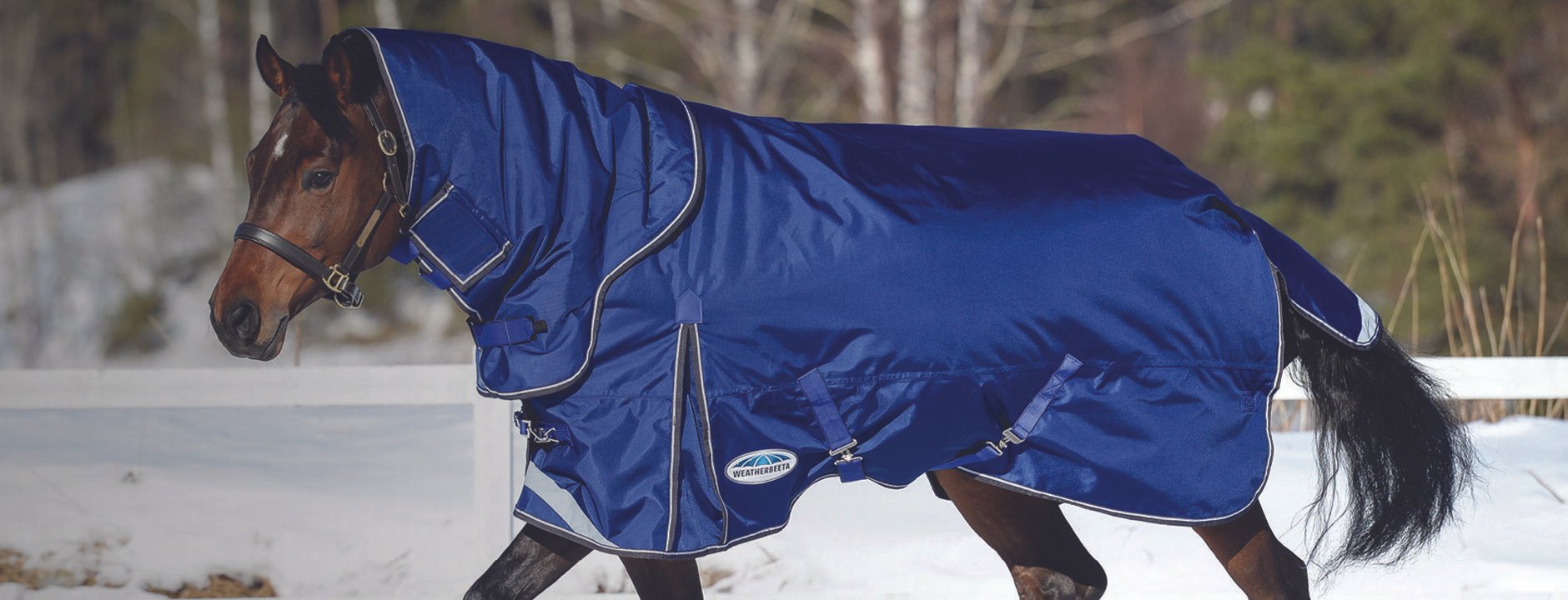 The Top 10 Winter Grooming Hacks