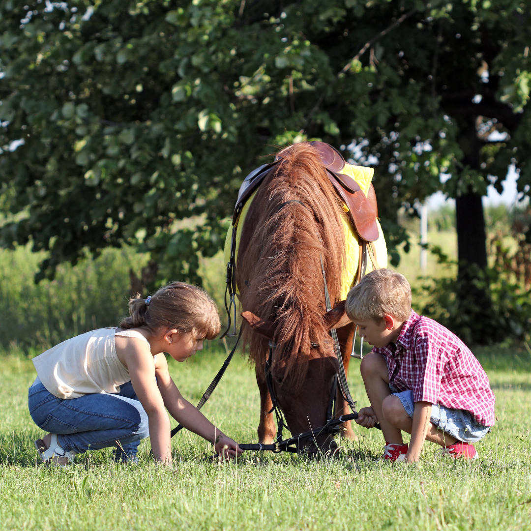 What Does Horse Riding Teach Children?