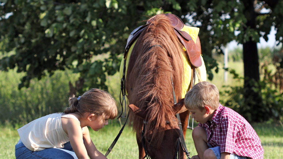What Does Horse Riding Teach Children?