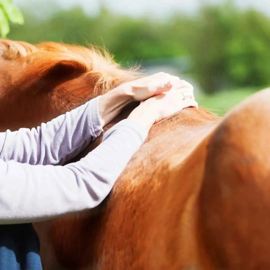 wobblers in horse - just horse riders