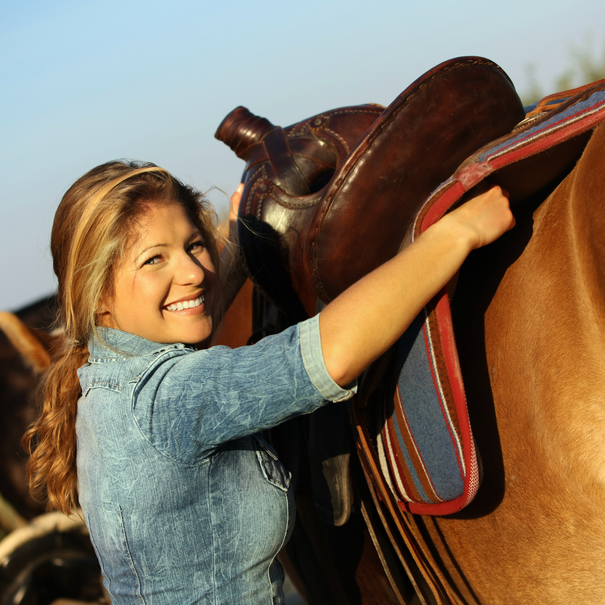 Saddle Up: Your Comprehensive Guide to Choosing the Perfect Saddle for You and Your Horse
