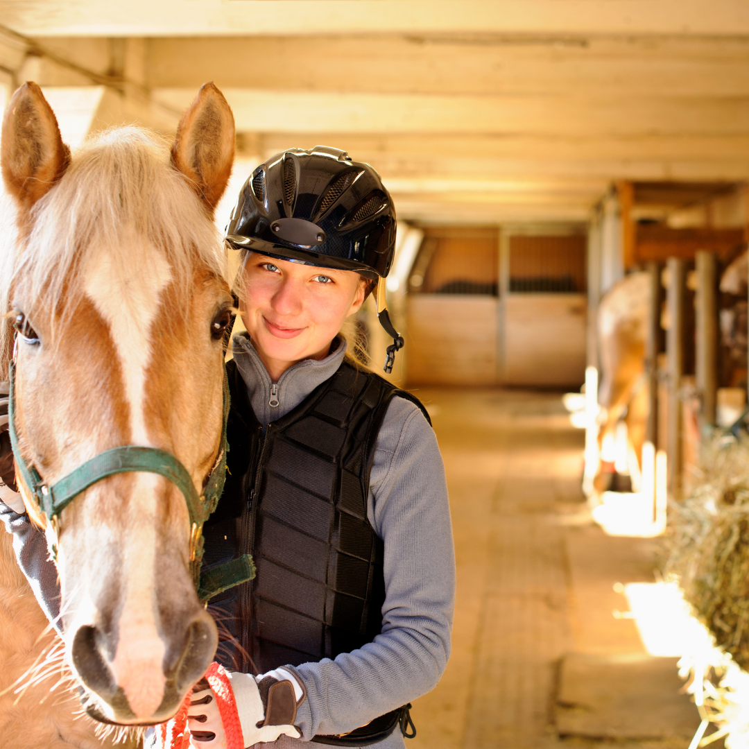 Mastering the Basics: A Beginner's Guide to Horse Riding