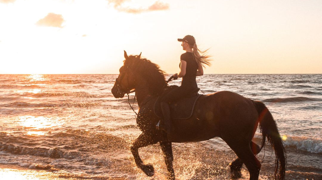 Top 20 Best Beaches for Horse Riding in the UK