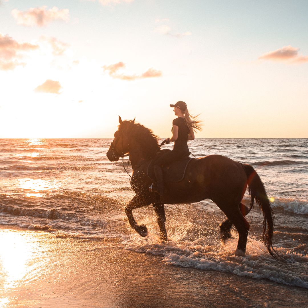 Top 20 Best Beaches for Horse Riding in the UK