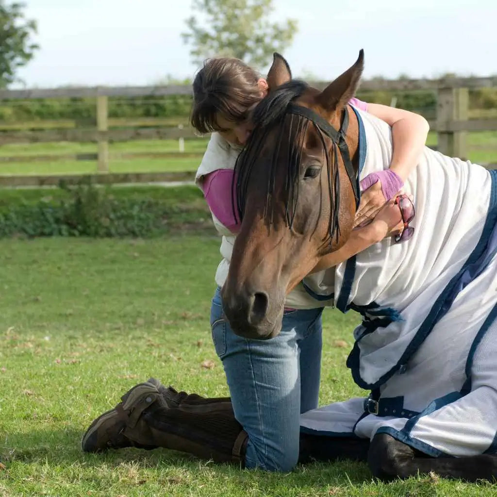 woman hugging a horse in a field - just horse riders