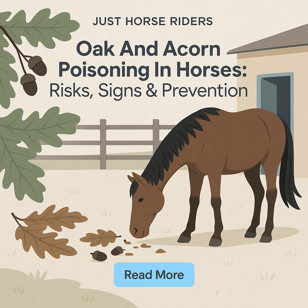 Oak And Acorn Poisoning In Horses: Risks, Signs & Prevention- just horse riders