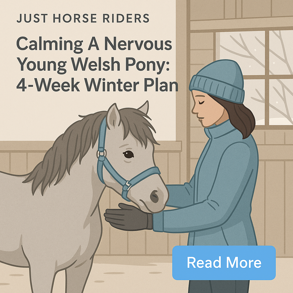 Calming A Nervous Young Welsh Pony: 4-Week Winter Plan- just horse riders