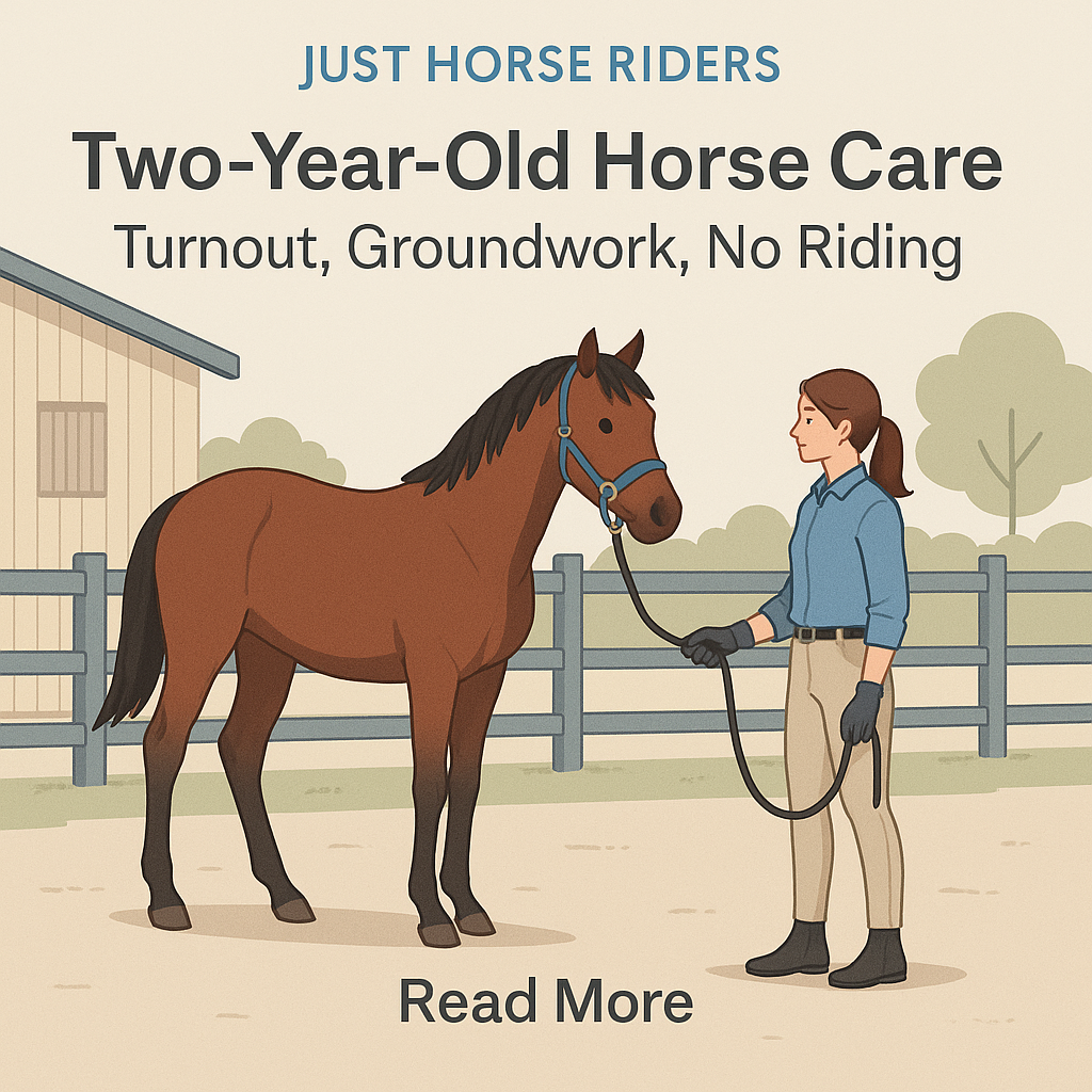 Two-Year-Old Horse Care: Turnout, Groundwork, No Riding- just horse riders