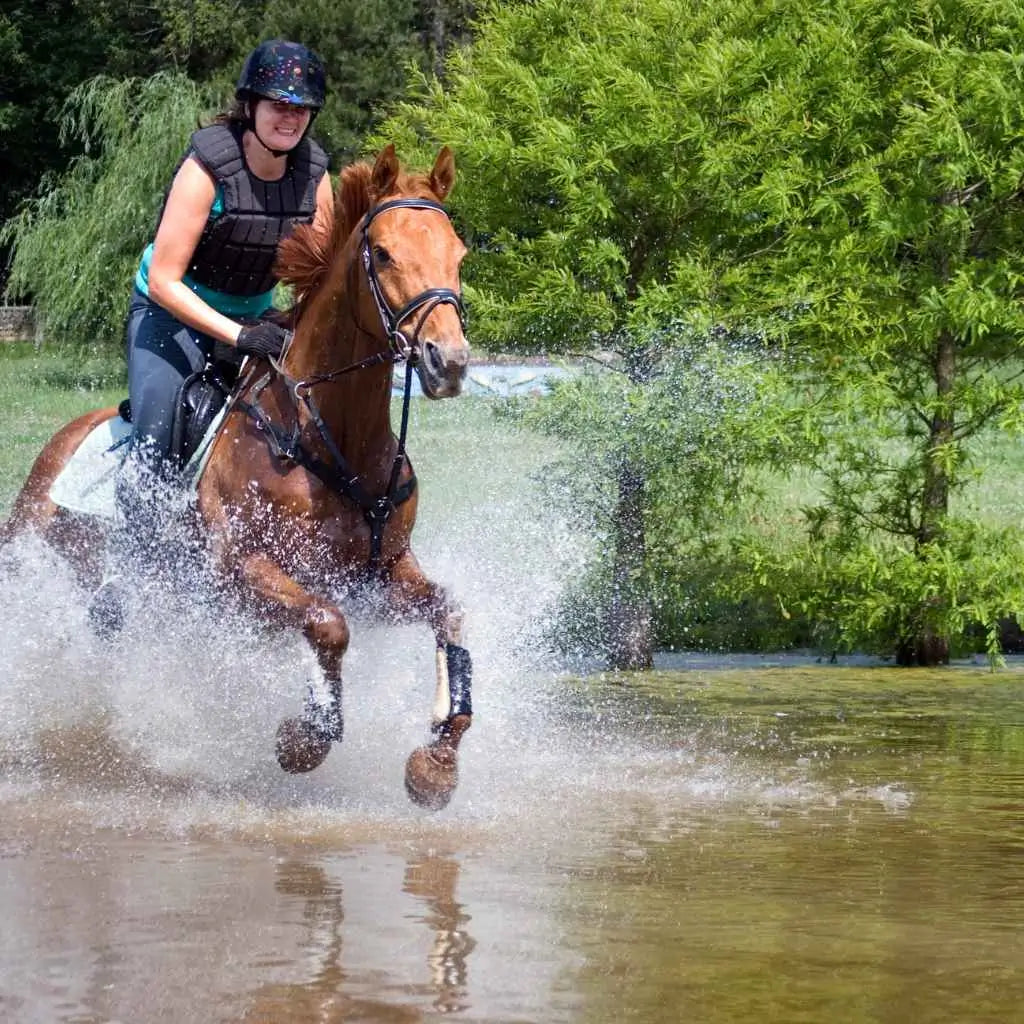rider and horse going through a river - just horse riders