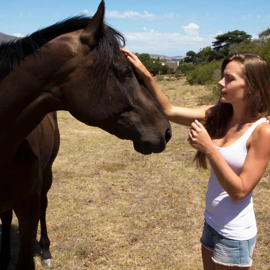 woman talking to a horse - just horse riders