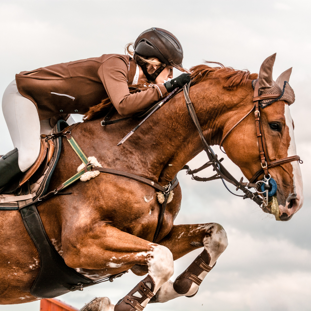 All Riding Disciplines Legends of the Saddle: The 10 Greatest Horse Riders and Equestrian Dis ...