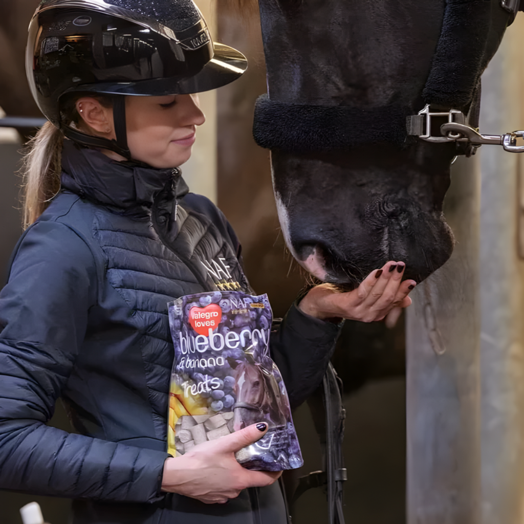 Horse Treats & Toys