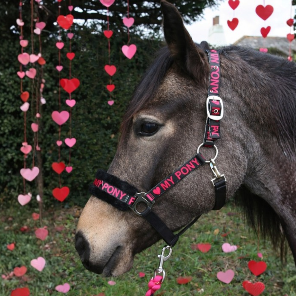 Valentine's Day Gifts