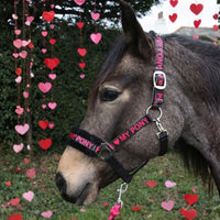 Valentines Day Gifts For Horses – Shop Thoughtful Stable Treats Now