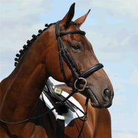 Cavesson Bridles