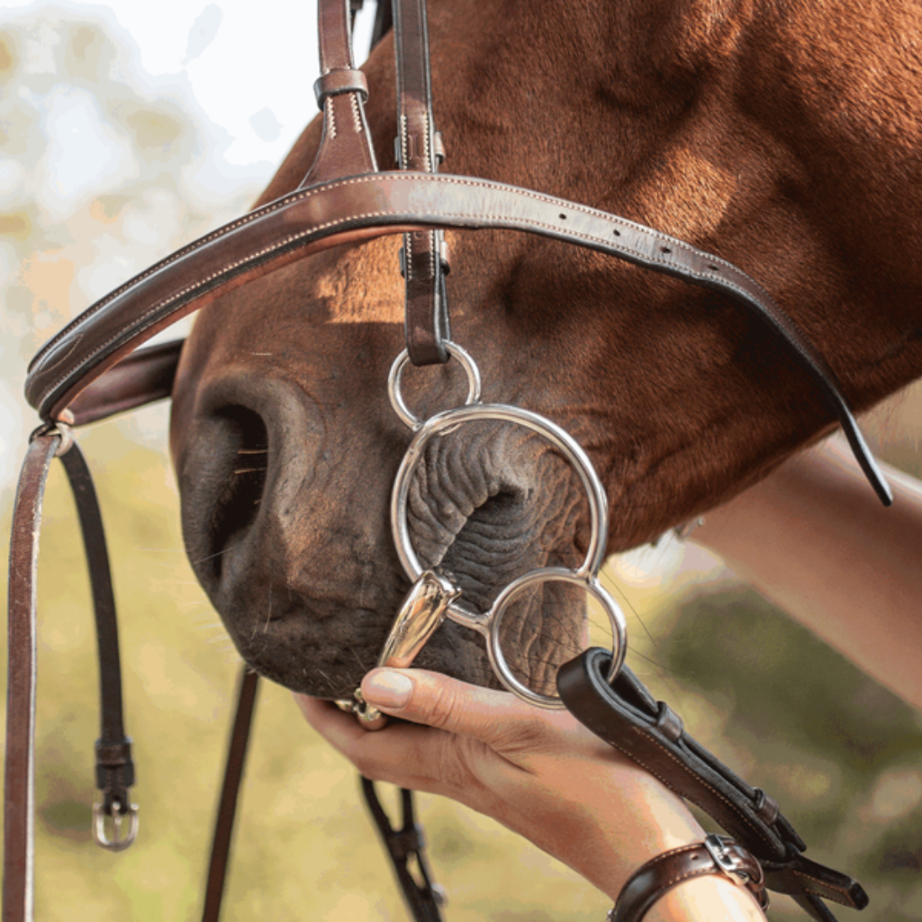 Horse Bits