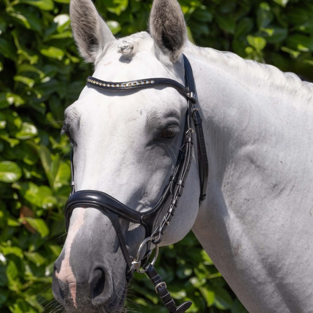 Bridles