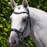 Discover the Perfect Bridle at Just Horse Riders – Shop Now!