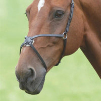 Horse & Pony Nosebands