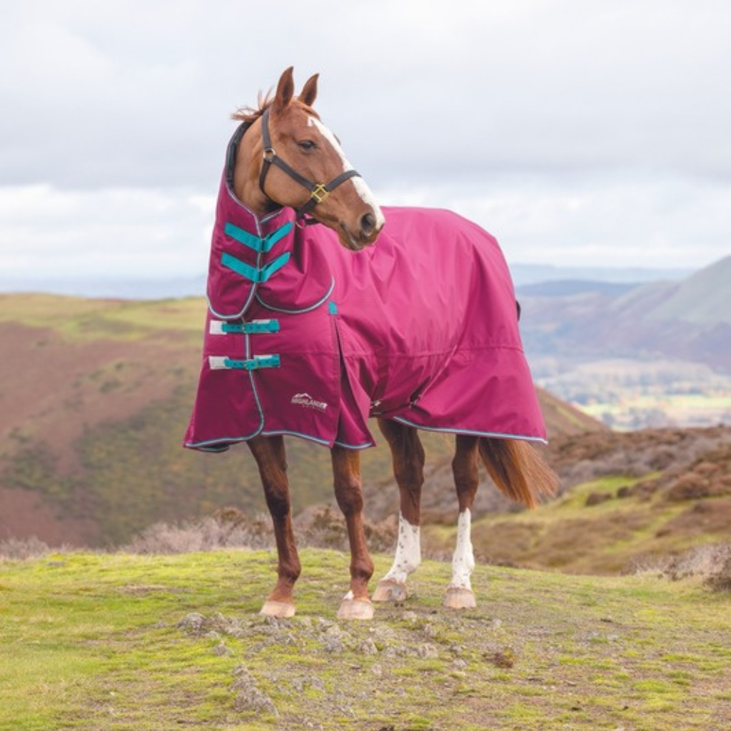 Shires Highlander Rugs