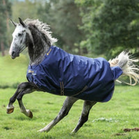 Bucas Rugs