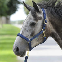 Bucas Halters & Lead Ropes