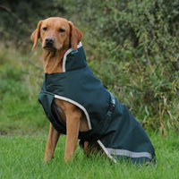 Bucas Dog Rugs & Coats