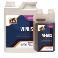 Cavalor Behaviour Supplements For Horses – Shop Now For Calmer Performance