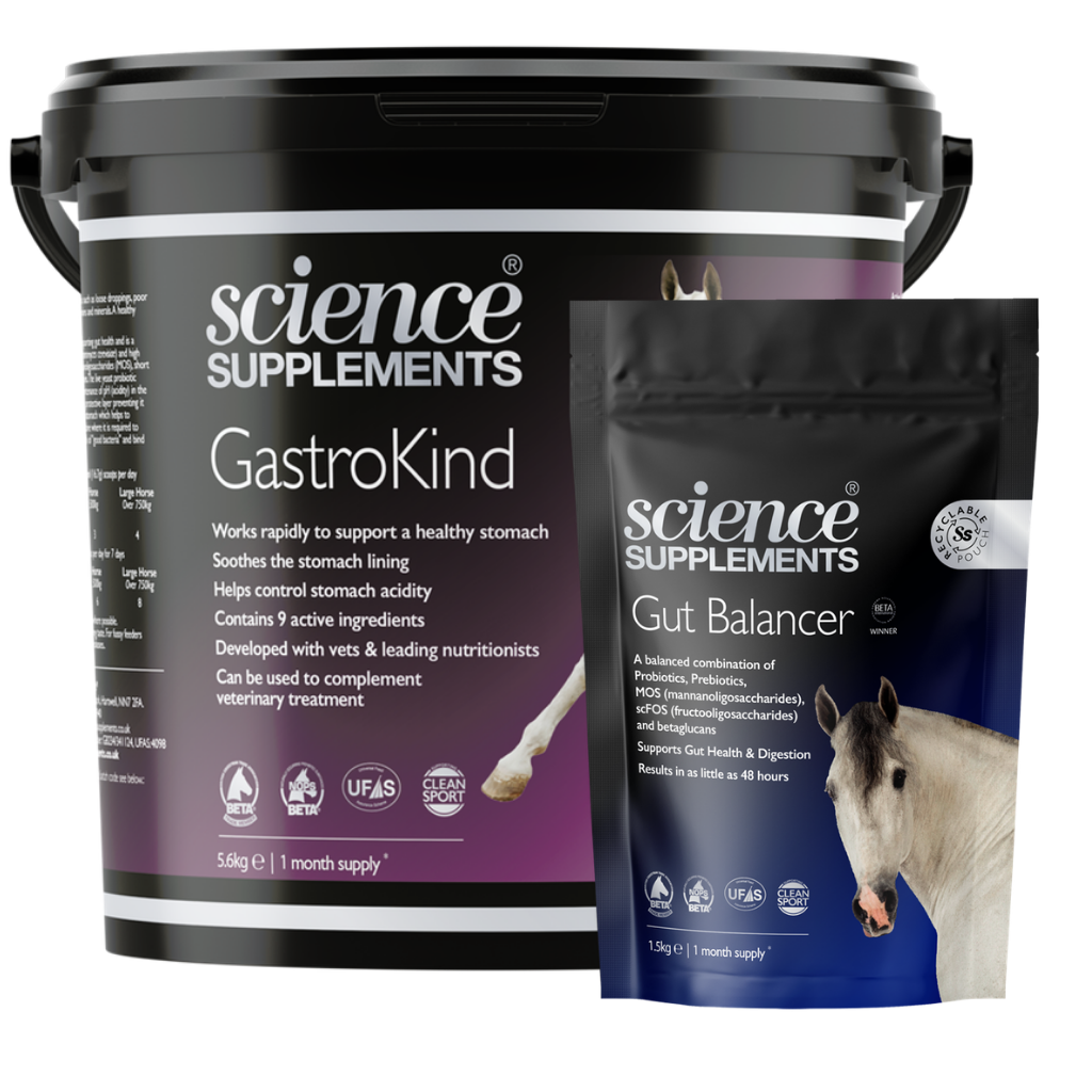 Horse digestive health