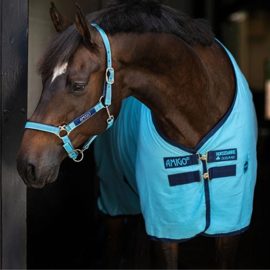 Horseware Lightweight Stable Rugs