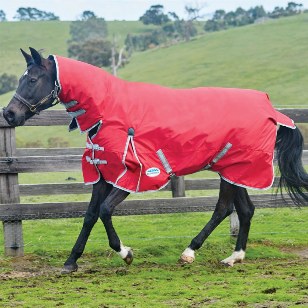 WeatherBeeta Rugs
