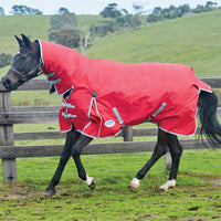 Weatherbeeta Horse Rugs