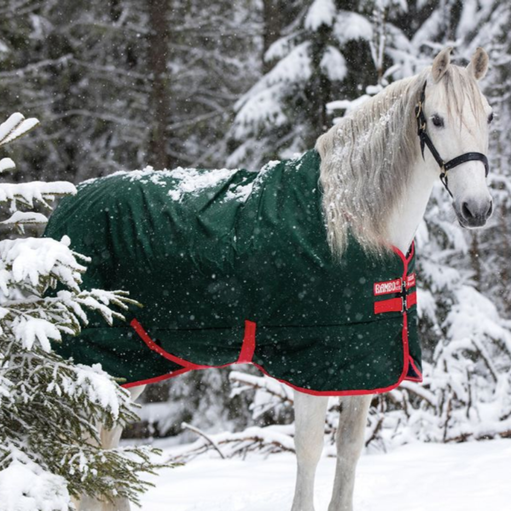 Horseware Heavyweight Turnout Rugs