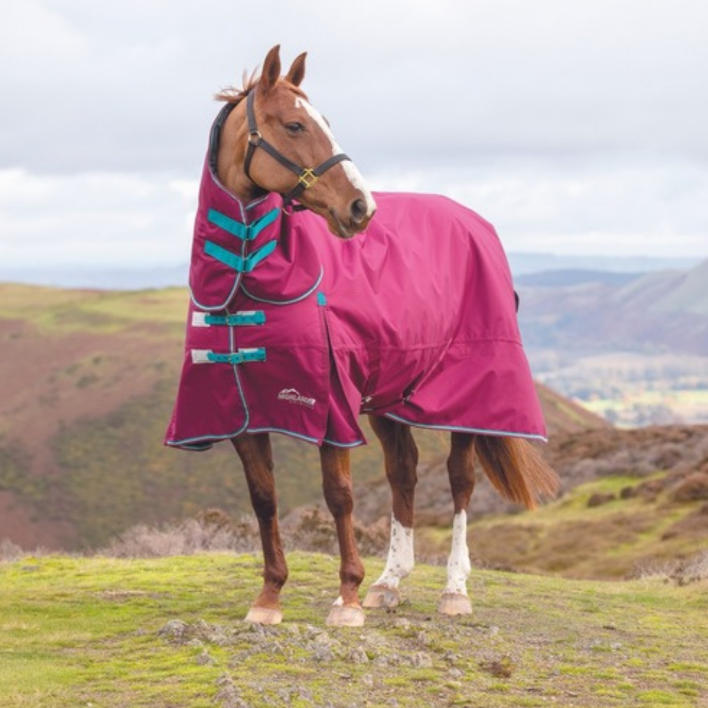 Shires Equestrian rugs