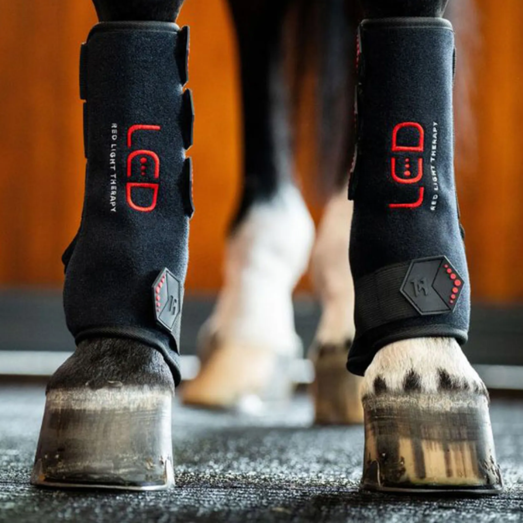 Horseware Red Light Therapy