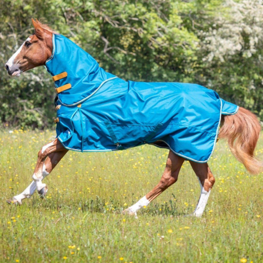 Lightweight horse rugs