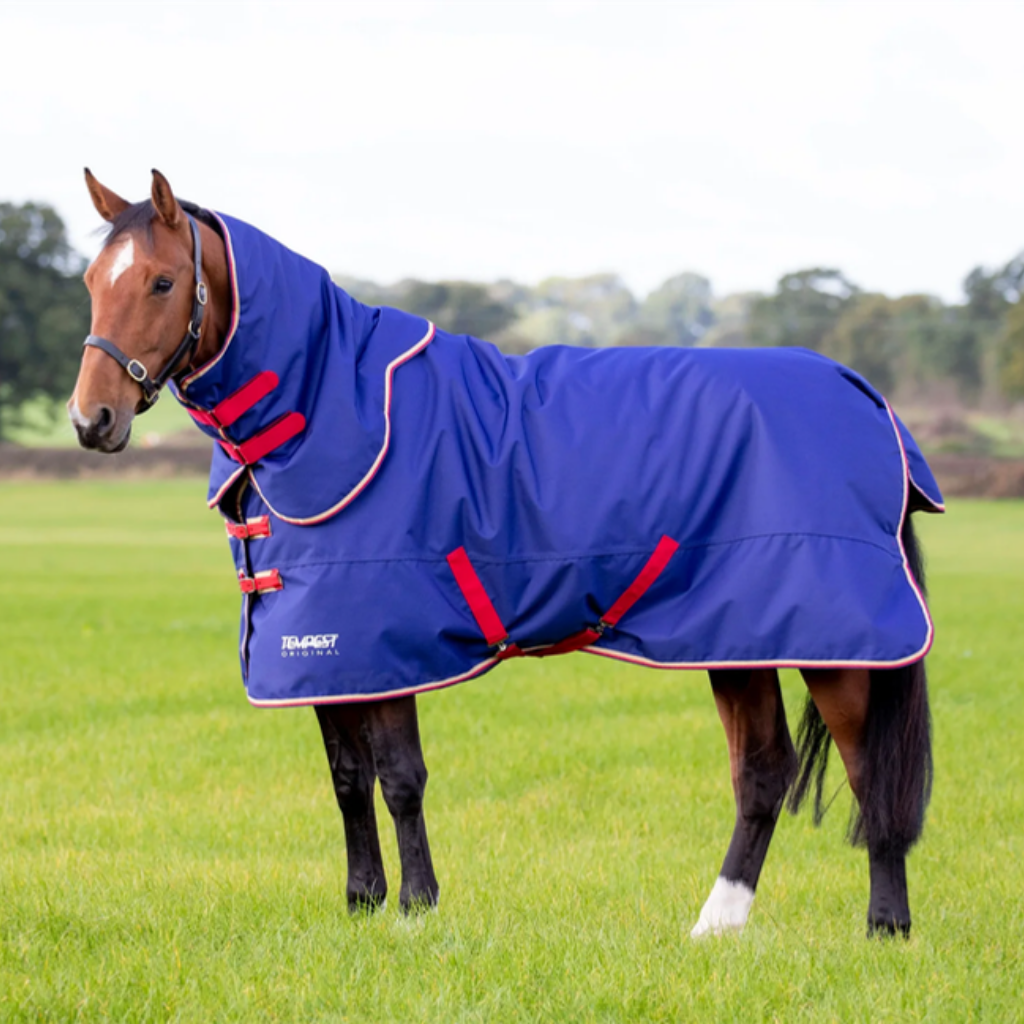 Mediumweight horse rugs