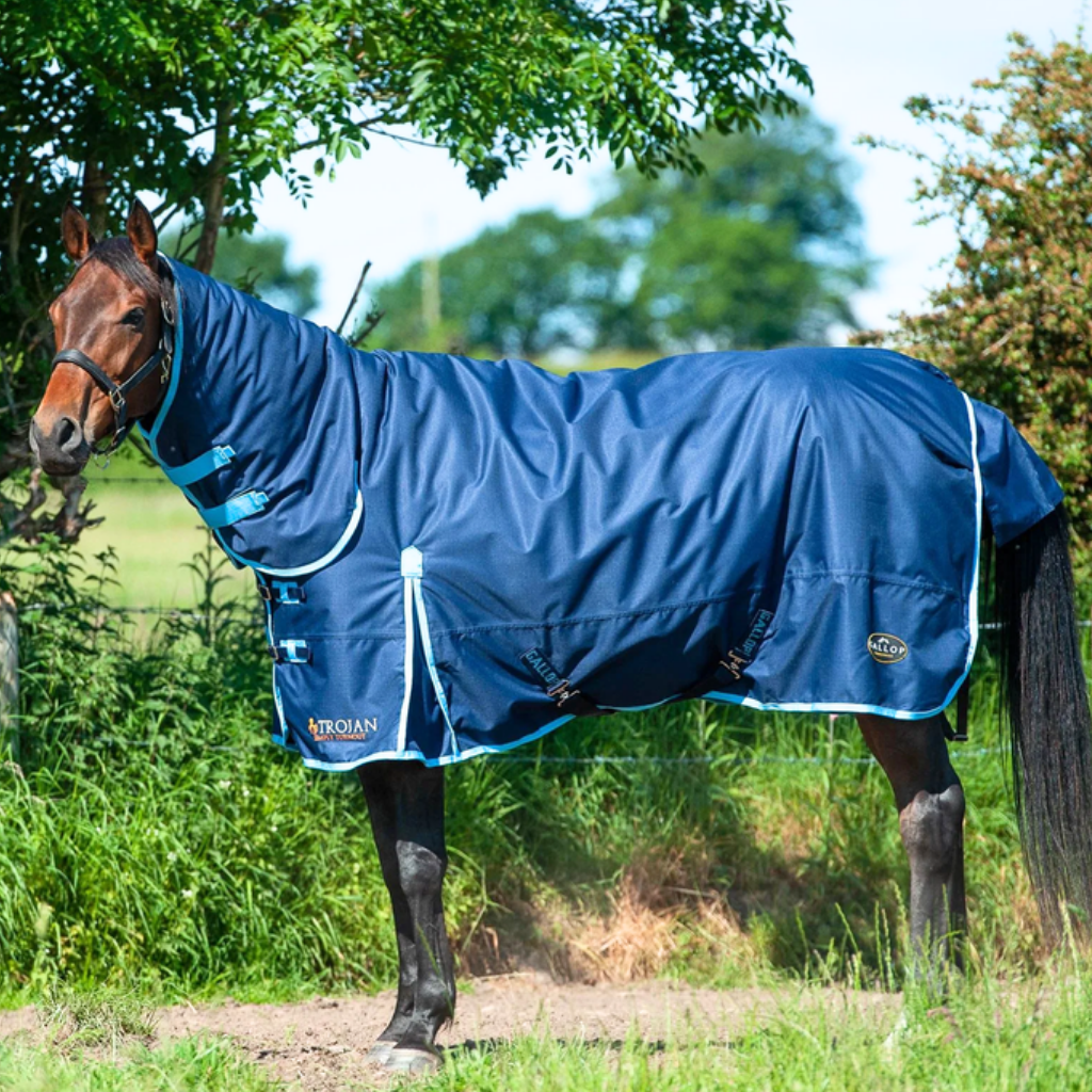 Heavyweight horse rugs