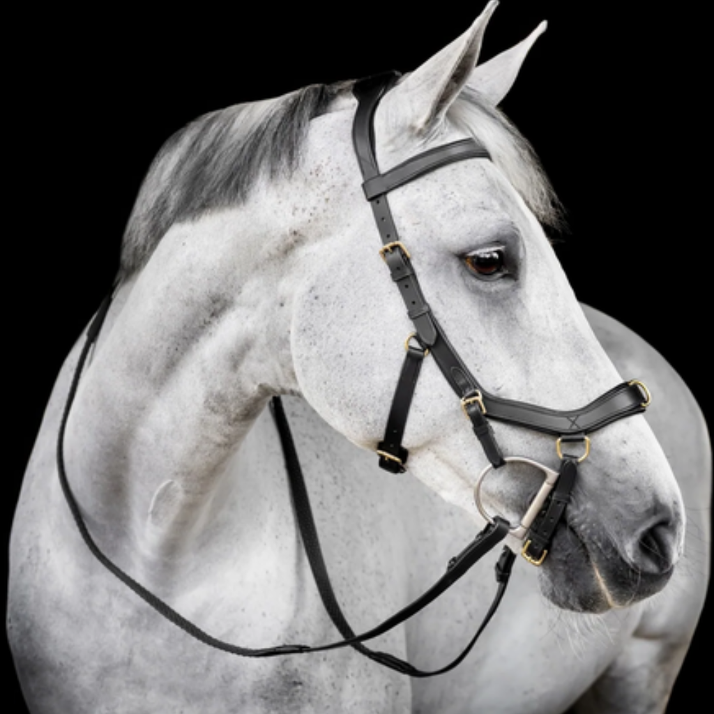 Horseware Micklem Leatherwork