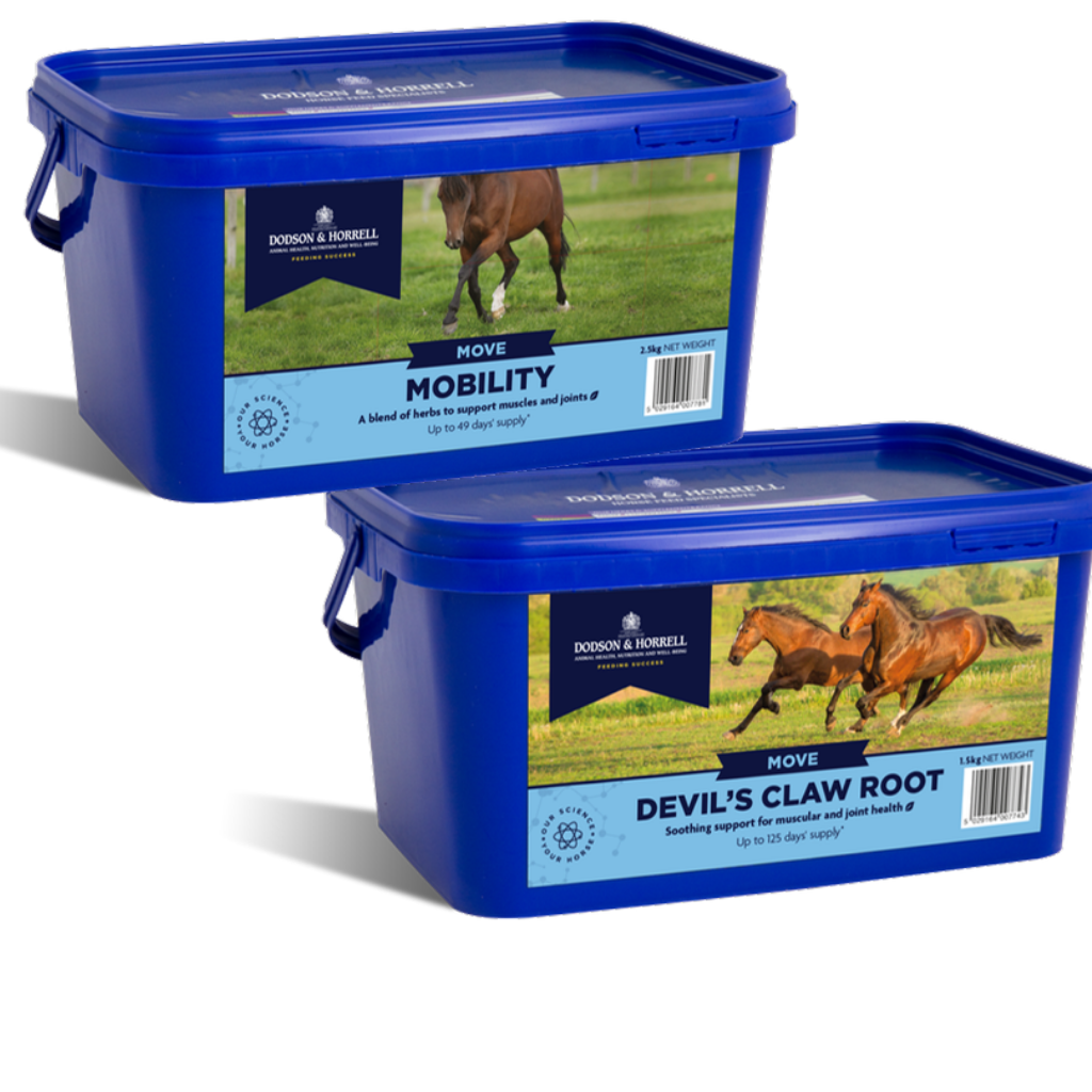 Dodson & Horrell mobility support
